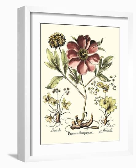 Framboise Floral I-Besler Basilius-Framed Art Print