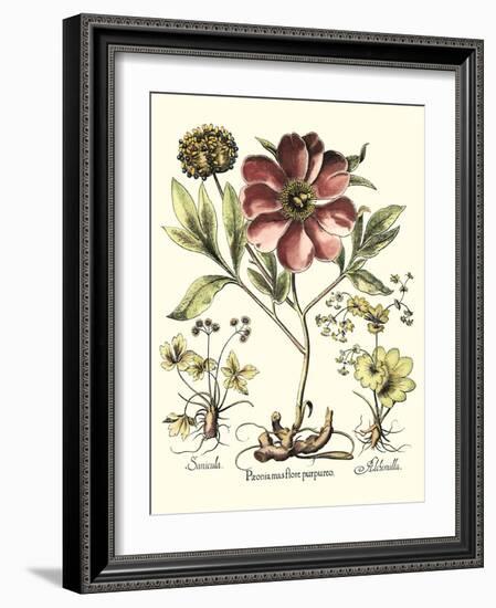 Framboise Floral I-Besler Basilius-Framed Art Print