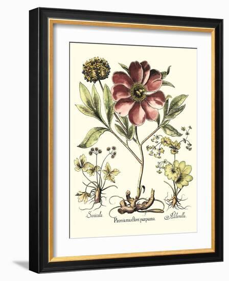 Framboise Floral I-Besler Basilius-Framed Art Print