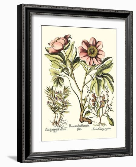 Framboise Floral II-Besler Basilius-Framed Art Print