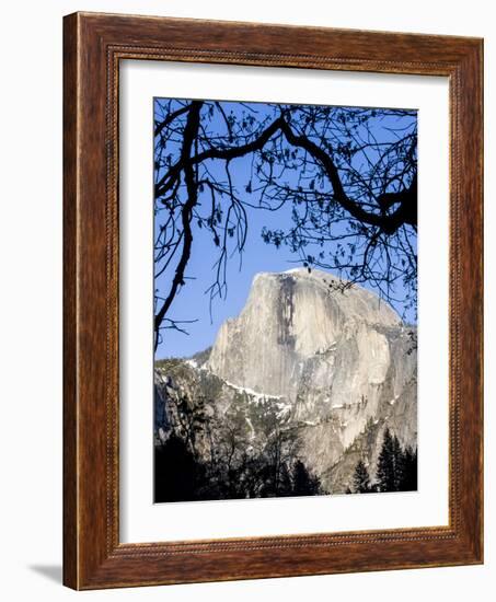 Framed Half Dome Seen from the Valley Floor, Yosemite, California, USA-Tom Norring-Framed Photographic Print