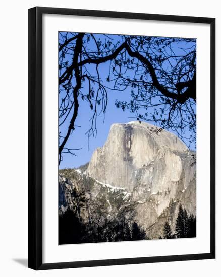 Framed Half Dome Seen from the Valley Floor, Yosemite, California, USA-Tom Norring-Framed Photographic Print