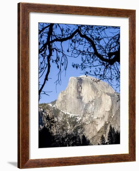 Framed Half Dome Seen from the Valley Floor, Yosemite, California, USA-Tom Norring-Framed Photographic Print