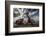 Framed Memories-Bragi Ingibergsson --Framed Photographic Print