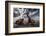 Framed Memories-Bragi Ingibergsson --Framed Photographic Print