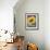 Framed Sunflower-Fiona Stokes-Gilbert-Framed Giclee Print displayed on a wall