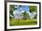 Framed Tree, Kansas, USA-Michael Scheufler-Framed Photographic Print