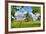 Framed Tree, Kansas, USA-Michael Scheufler-Framed Photographic Print