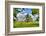 Framed Tree, Kansas, USA-Michael Scheufler-Framed Photographic Print