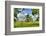 Framed Tree, Kansas, USA-Michael Scheufler-Framed Photographic Print