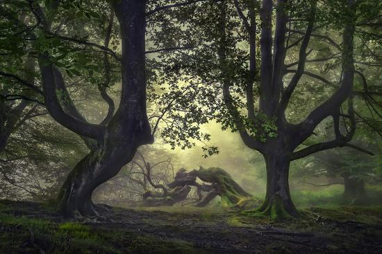 Photographic Print, , large