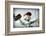 Fran-John Gusky-Framed Photographic Print