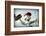 Fran-John Gusky-Framed Photographic Print