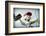 Fran-John Gusky-Framed Photographic Print