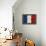 Francaise-Luke Wilson-Framed Stretched Canvas displayed on a wall