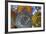 France, Aix-En-Provence. Ceramic Plates, Cours Mirabeau Market-Kevin Oke-Framed Photographic Print