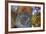 France, Aix-En-Provence. Ceramic Plates, Cours Mirabeau Market-Kevin Oke-Framed Photographic Print