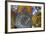 France, Aix-En-Provence. Ceramic Plates, Cours Mirabeau Market-Kevin Oke-Framed Photographic Print