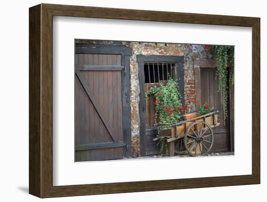 France, Alsace, Colmar. Rustic wooden wagon draped with plants.-Janis Miglavs-Framed Photographic Print