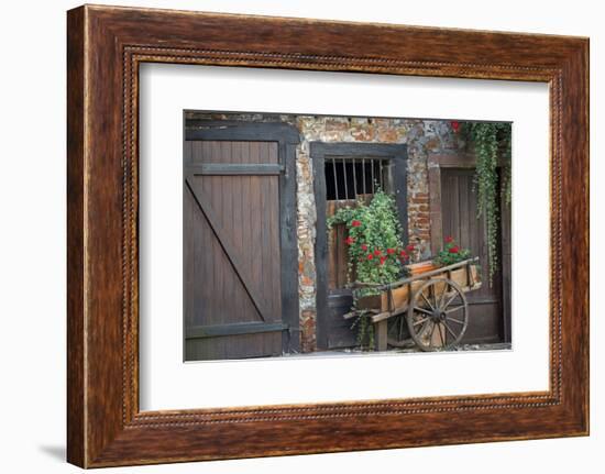 France, Alsace, Colmar. Rustic wooden wagon draped with plants.-Janis Miglavs-Framed Photographic Print