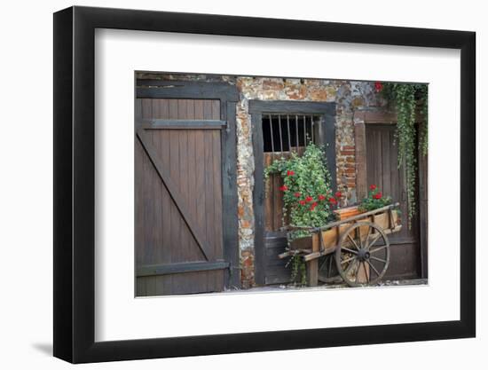 France, Alsace, Colmar. Rustic wooden wagon draped with plants.-Janis Miglavs-Framed Photographic Print