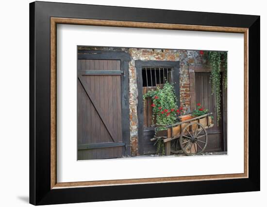 France, Alsace, Colmar. Rustic wooden wagon draped with plants.-Janis Miglavs-Framed Photographic Print