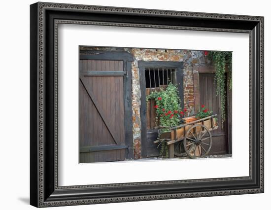 France, Alsace, Colmar. Rustic wooden wagon draped with plants.-Janis Miglavs-Framed Photographic Print