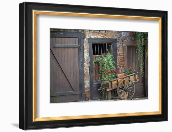 France, Alsace, Colmar. Rustic wooden wagon draped with plants.-Janis Miglavs-Framed Photographic Print