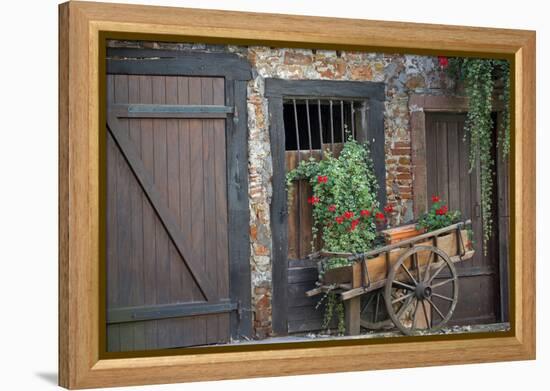 France, Alsace, Colmar. Rustic wooden wagon draped with plants.-Janis Miglavs-Framed Premier Image Canvas