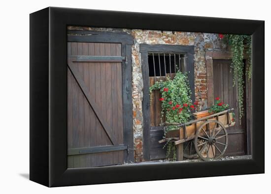 France, Alsace, Colmar. Rustic wooden wagon draped with plants.-Janis Miglavs-Framed Premier Image Canvas