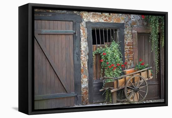 France, Alsace, Colmar. Rustic wooden wagon draped with plants.-Janis Miglavs-Framed Premier Image Canvas