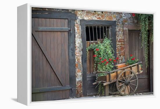 France, Alsace, Colmar. Rustic wooden wagon draped with plants.-Janis Miglavs-Framed Premier Image Canvas
