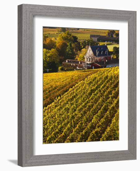 France, Aquitaine Region, Gironde Department, St-Emilion, Wine Town, Unesco-Listed Vineyards-Walter Bibikow-Framed Photographic Print