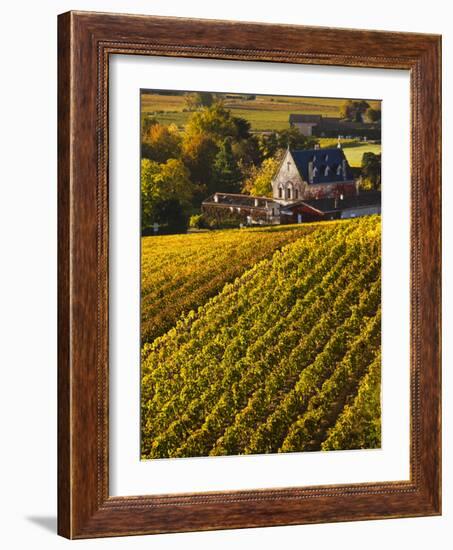 France, Aquitaine Region, Gironde Department, St-Emilion, Wine Town, Unesco-Listed Vineyards-Walter Bibikow-Framed Photographic Print