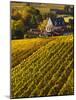 France, Aquitaine Region, Gironde Department, St-Emilion, Wine Town, Unesco-Listed Vineyards-Walter Bibikow-Mounted Photographic Print