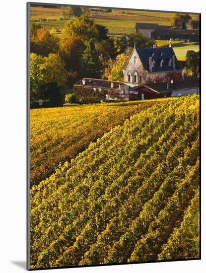 France, Aquitaine Region, Gironde Department, St-Emilion, Wine Town, Unesco-Listed Vineyards-Walter Bibikow-Mounted Photographic Print