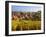 France, Bas-Rhin, Alsace Region, Alasatian Wine Route, Blienschwiller, Town Overview from Vineyards-Walter Bibikow-Framed Photographic Print