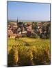 France, Bas-Rhin, Alsace Region, Alasatian Wine Route, Blienschwiller, Town Overview from Vineyards-Walter Bibikow-Mounted Photographic Print