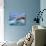 France, Biarritz, Pyrenees-Atlantique, Seascape-Shaun Egan-Photographic Print displayed on a wall