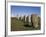 France, Brittany, Carnac, Prehistoric Megalithic Alignments-null-Framed Giclee Print