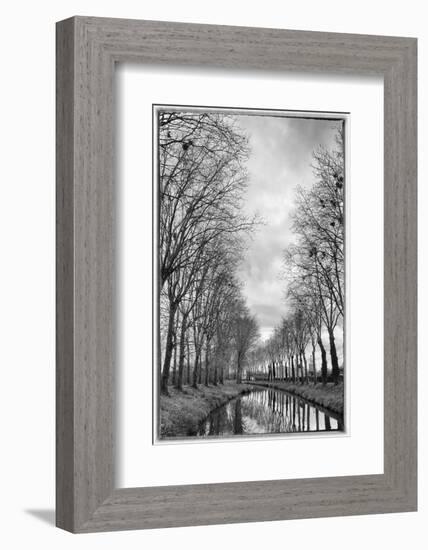 France, Burgundy, Nievre. Trees with Bird Nests on the Nivernais Canal-Kevin Oke-Framed Photographic Print