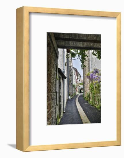 France, Cajarc. Narrow alley.-Hollice Looney-Framed Photographic Print