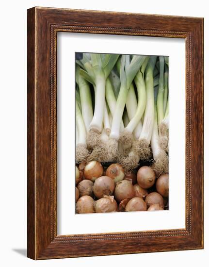 France, Centre, Chatillon Sur Loire. Onions and Leeks at Farmer Market-Kevin Oke-Framed Photographic Print