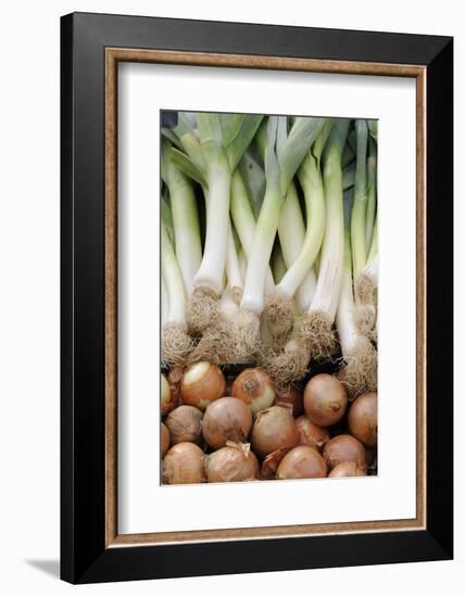 France, Centre, Chatillon Sur Loire. Onions and Leeks at Farmer Market-Kevin Oke-Framed Photographic Print