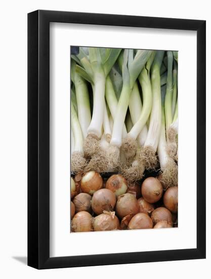 France, Centre, Chatillon Sur Loire. Onions and Leeks at Farmer Market-Kevin Oke-Framed Photographic Print