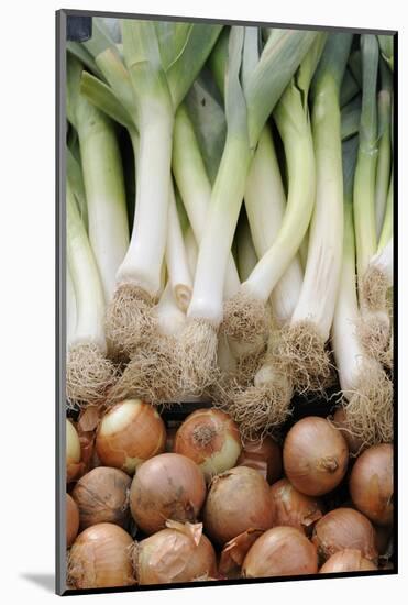France, Centre, Chatillon Sur Loire. Onions and Leeks at Farmer Market-Kevin Oke-Mounted Photographic Print