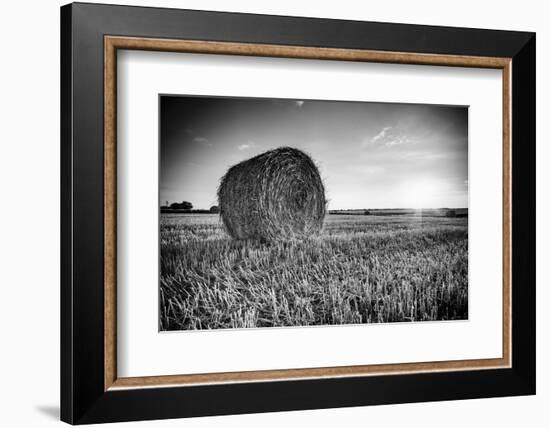 France, Centre Region, Indre-Et-Loire, Sainte Maure De Touraine, Straw Bale in Field-Alan Copson-Framed Photographic Print