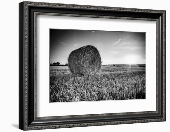 France, Centre Region, Indre-Et-Loire, Sainte Maure De Touraine, Straw Bale in Field-Alan Copson-Framed Photographic Print