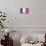 France Country Flag - Barnwood Painting-Lantern Press-Art Print displayed on a wall