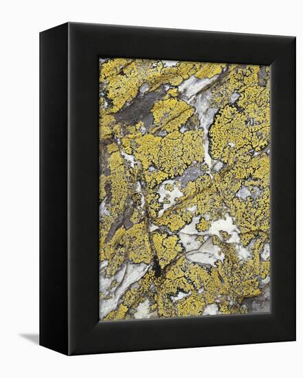 France, Dauphine, Hautes-Alpes, Le Rateau, Glacier-Thonig-Framed Premier Image Canvas